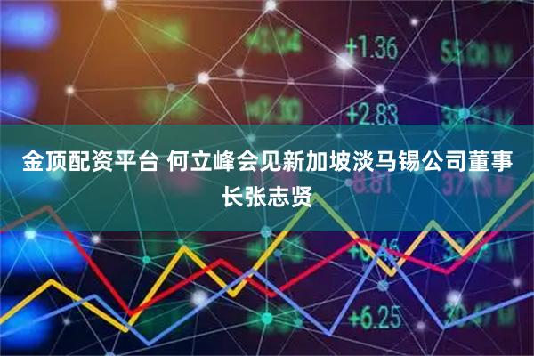 金顶配资平台 何立峰会见新加坡淡马锡公司董事长张志贤